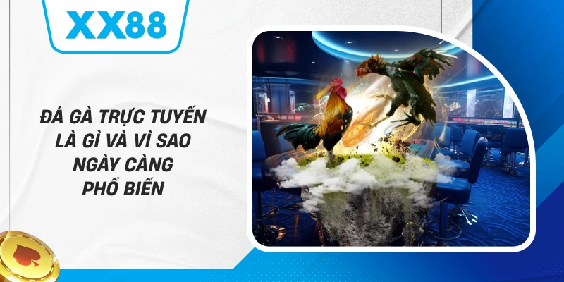 Đá Gà Trực Tuyến Là Gì Và Vì Sao Ngày Càng Phổ Biến
