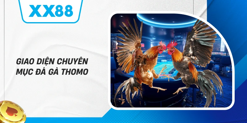 Giao diện chuyên mục Đá Gà Thomo