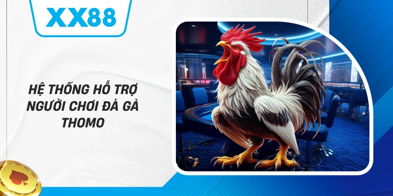 Hệ thống hỗ trợ người chơi Đá Gà Thomo